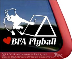 Love BFA Flyball