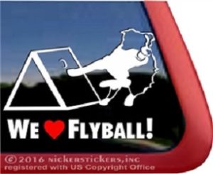 We love flyball