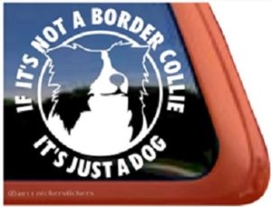 if it's not a border collie